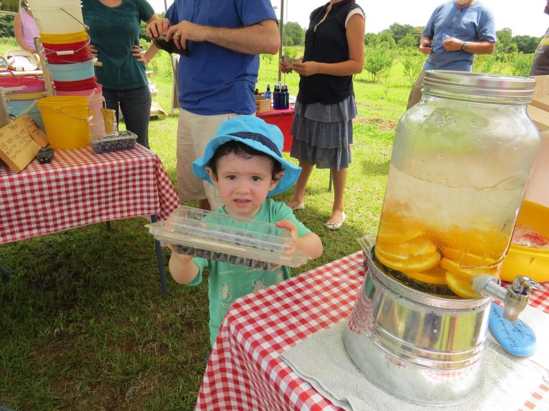 Our grandson Liam is saying, "Enjoy your berries!!" Yep, he's our best salesboy!