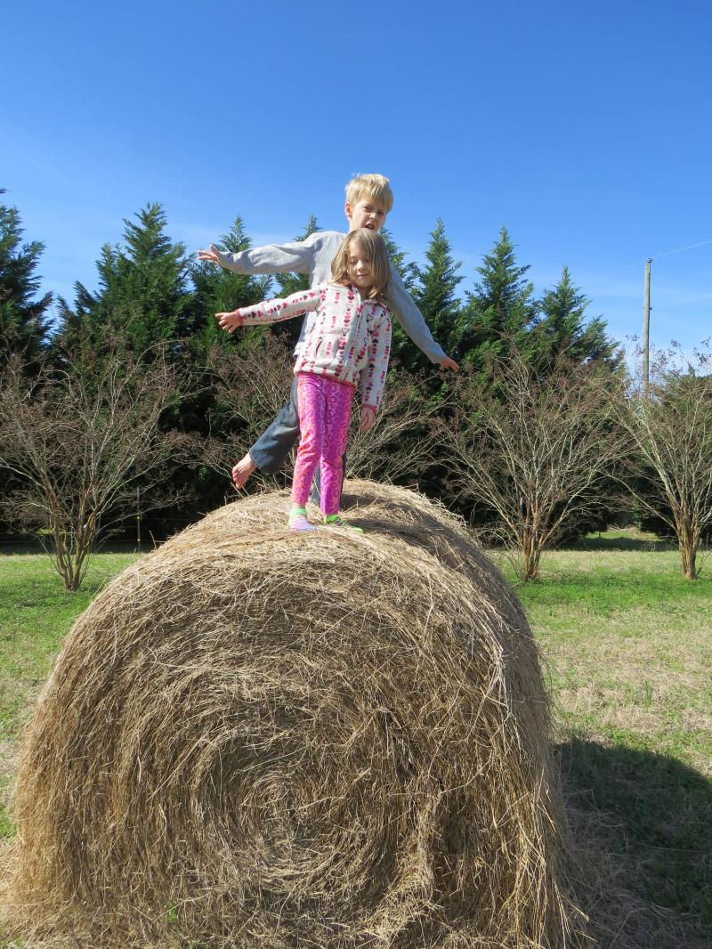 Grandchildren Austin & Becca dancing on the bale of hay!