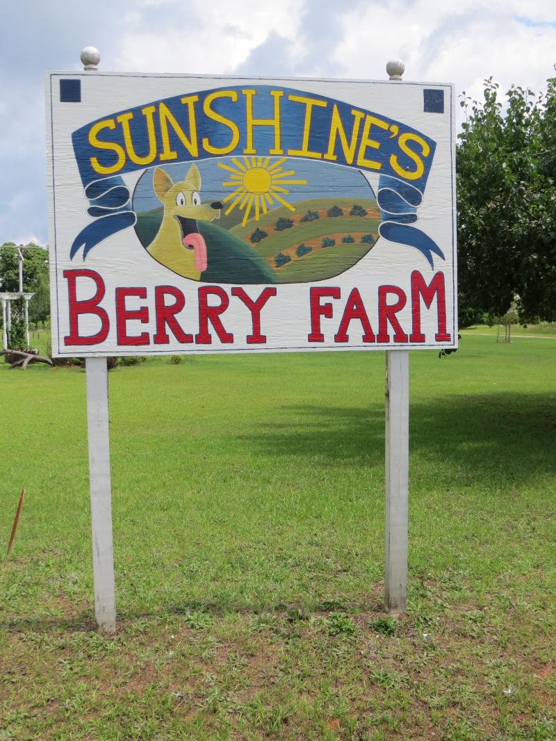 SBF sign