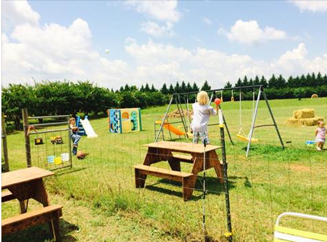 Play area